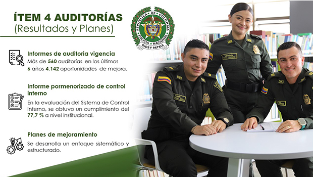 ITEM 4: Auditorias (resultados y planes)