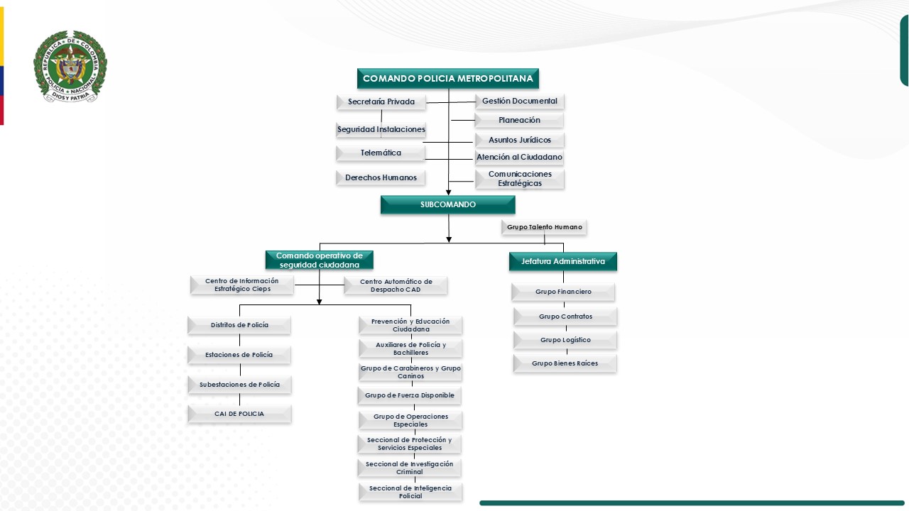 Organigrama MEPAS 2024