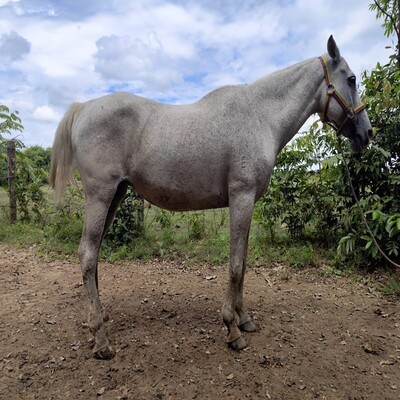 Mancilla_Emperatriz_L.D