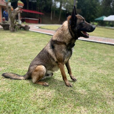 Puski de la Policia Nacional_L.D