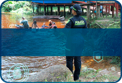 Consulta de Inhabilidades por delitos sexuales cometidos contra menores de edad