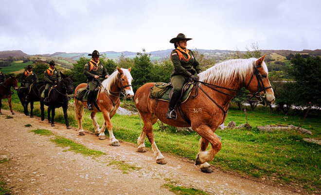 Direcci&oacute;n de Carabineros y Protecci&oacute;n Ambiental