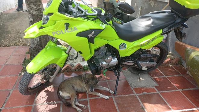 Echada al lado de la motocicleta.