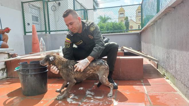  Policía le brinda  cariño a la perrita de nombre "Negra".