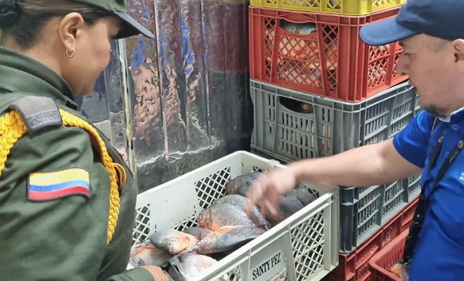 La Policía incauta 59 kilos de pescado no aptos para el consumo