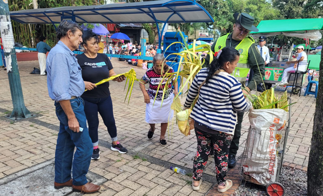 Mas de 1.000 unidades de palma de ramo fueron incautadas por la Policía Nacional