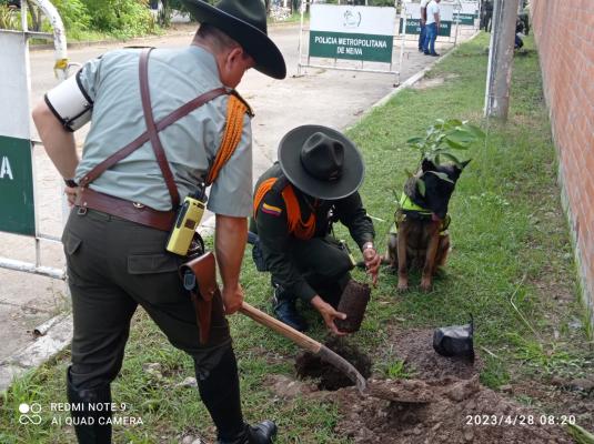 Policía Nacional celebra día mundial del árbol