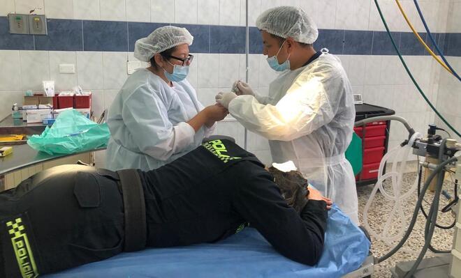 108 pacientes fueron atendidos en cumplimiento de una estrategia para disminuir represamiento de citas