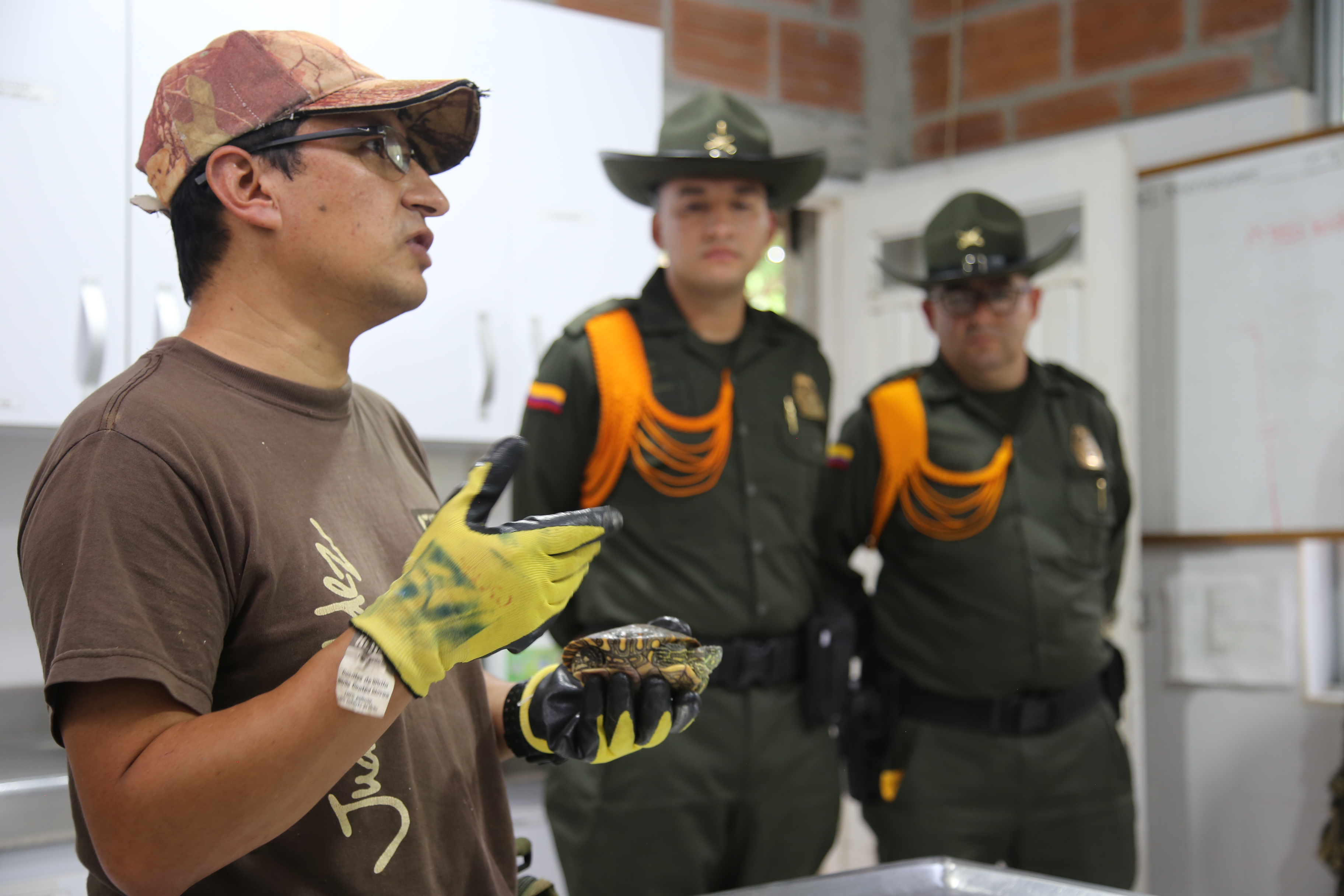 pasos_para_devolver_especies_al_habitat