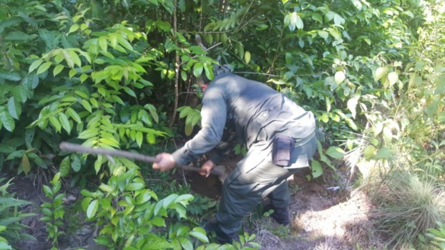 Desactivado otro campo minado en Araracuara 