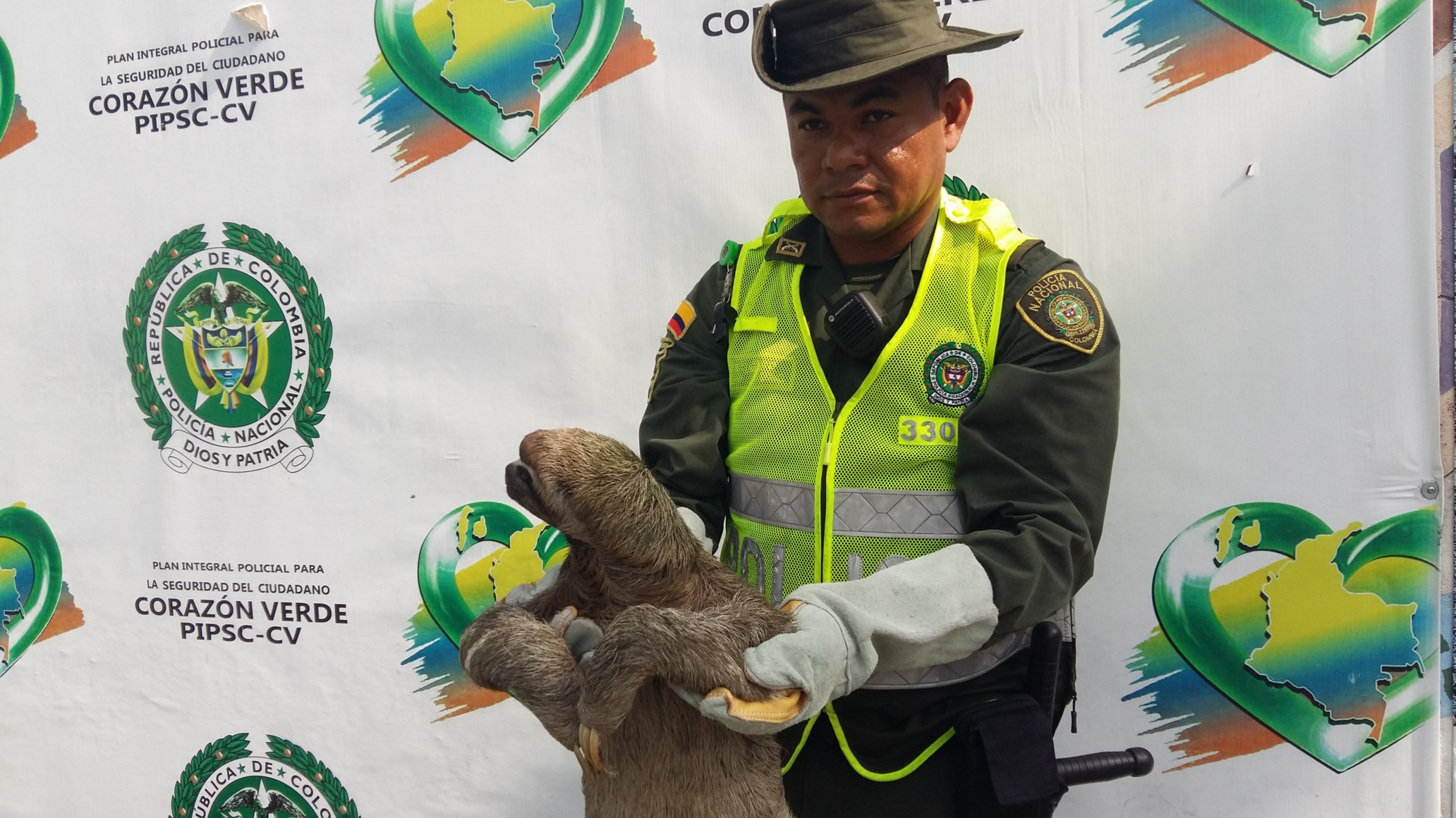  El animal silvestre iba a ser vendido como mascota