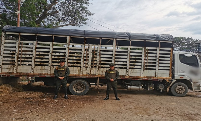 Incautadas 16 cabezas de ganado avaluadas en más de 30 millones de pesos 