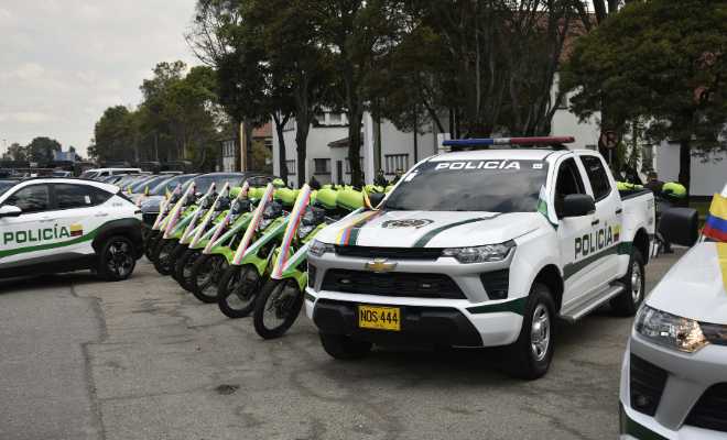 Simplificación en el acceso y manejo de los procesos contractuales.