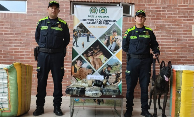 Los controles permanentes a las empresas de mensajería y encomienda de la ciudad, hicieron posible el hallazgo de este alijo, avaluados en más de 90 millones de pesos.