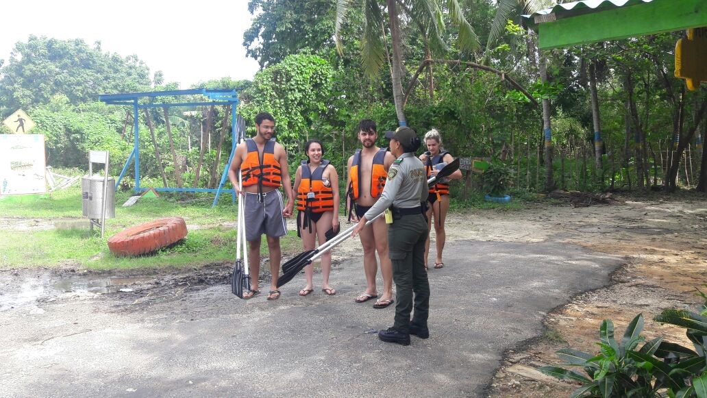 Atienda las recomendaciones y disfrute de una época de fin de año inolvidable