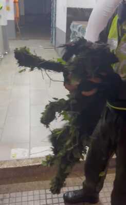 Canino rescatado por la Policía Nacional 