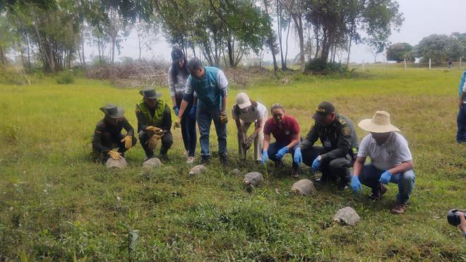 32 especies de animales silvestres fueron rescatados y liberados en hábitat natural_3