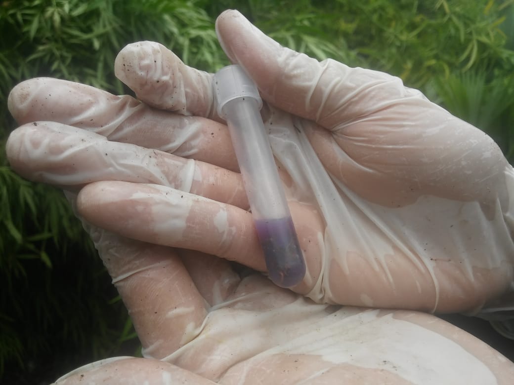 Hallamos-400-kilos-de-marihuana-en-Santa-Marta 