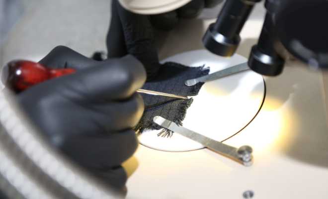 Un diseño de fácil navegación que facilita el trabajo de todos los usuarios.