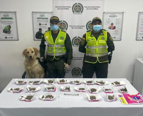 Avanzamos en la disminución y distribución de estupefacientes en el Territorio Insular 