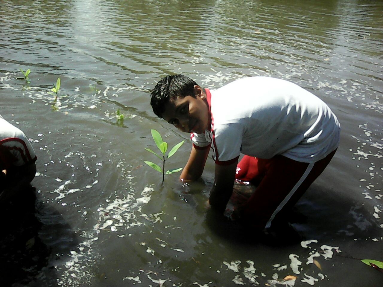 La campaña de protección ambiental permitió integrar a la comunidad