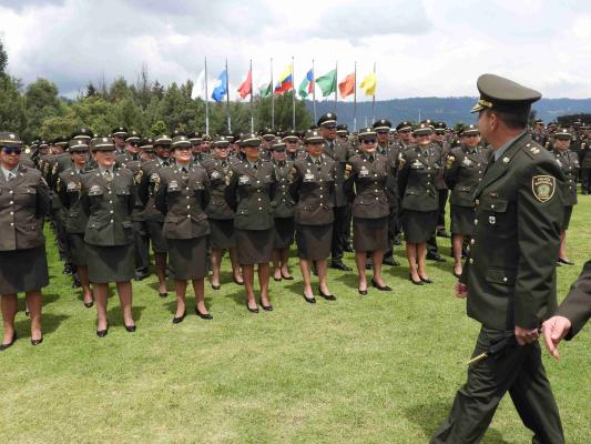 Bienvenida a los mandos del nivel ejecutivo al sexto ciclo presencial.