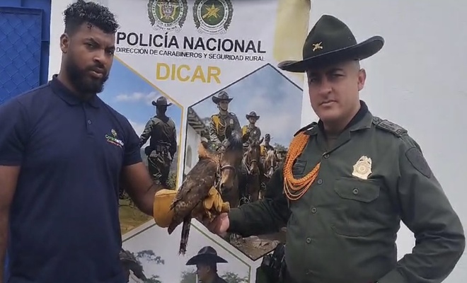 Acciones de protección a la fauna silvestre 