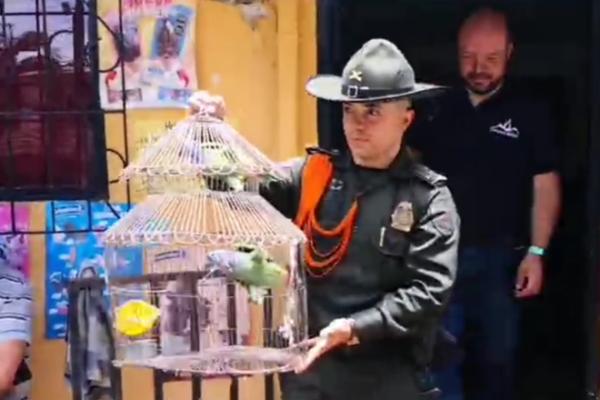 acciones de control en pro de la fauna silvestre en el municipio de Viterbo y la Dorada