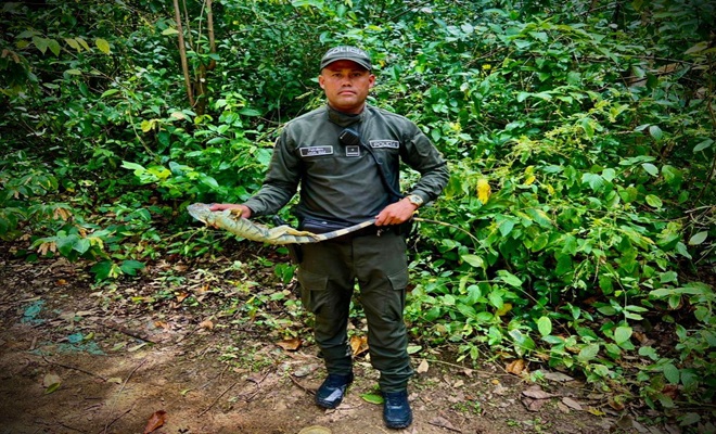 Protecci&oacute;n animal y conservaci&oacute;n ambiental: prioridad de la Polic&iacute;a Nacional en San Andr&eacute;s.