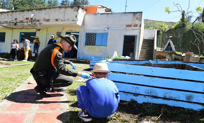 Adecuación espacios huertas caseras
