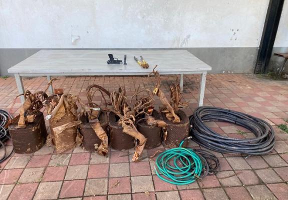 Afectación a grupo delincuencial dedicado al hurto de cobre en la región de la Altillanura