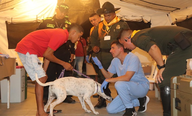 Uniformados policia junto con veterinarios atendiendo un canino