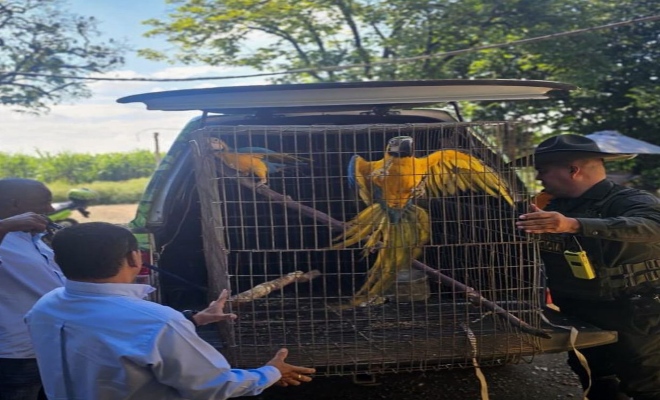 Bolívar alberga una riqueza biológica invaluable