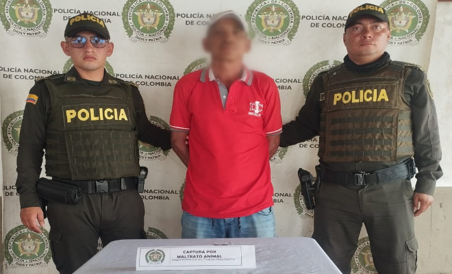 Capturan a una persona por diferentes delitos 