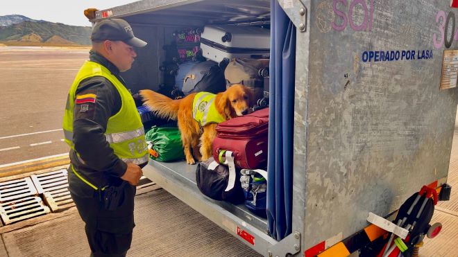 Se realizan controles preventivos con caninos entrenados en Pasto 