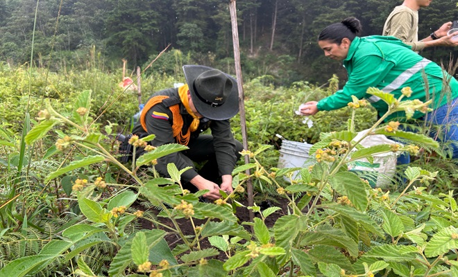 Carabineros y secretaria en sembratón