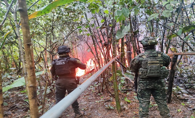Afectamos las finanzas de grupos criminales dedicados al apoderamiento y comercializaci&oacute;n il&iacute;cita de  hidrocarburos.