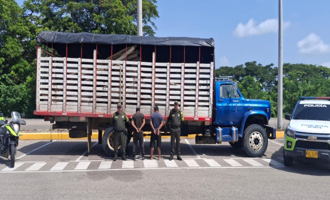 Incautado camión con madera de procedencia ilegal en vía de Bolívar