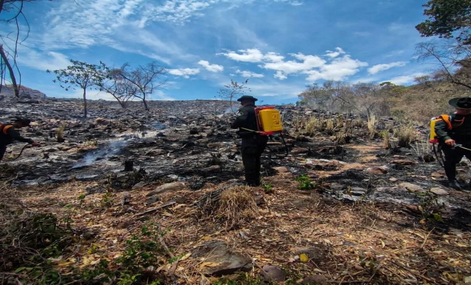  la Policía hace un llamado a proteger nuestra biodiversidad