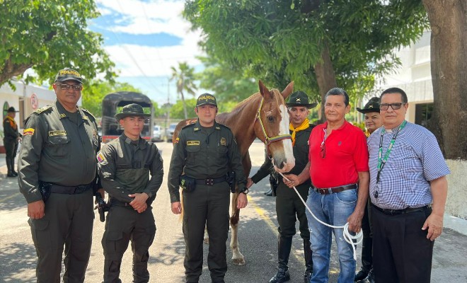 Ciudadanos adoptan un equino y un canino tras cumplir su servicio