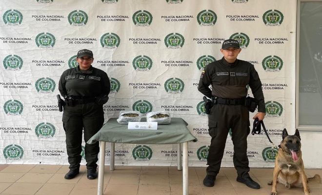 Canino “Killer” incauta más de 1.200 dosis de estupefacientes en una encomienda