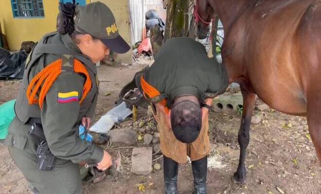HERRADERIA PARA NUESTROS CAMPESINOS DE BAJOS RECURSOS