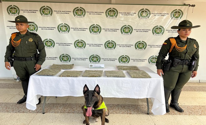 Hallazgo de sustancia narc&oacute;tica en zona boscosa de Neiva