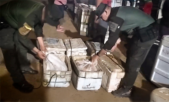 Incautación de 76 tortugas hicoteas en Córdoba