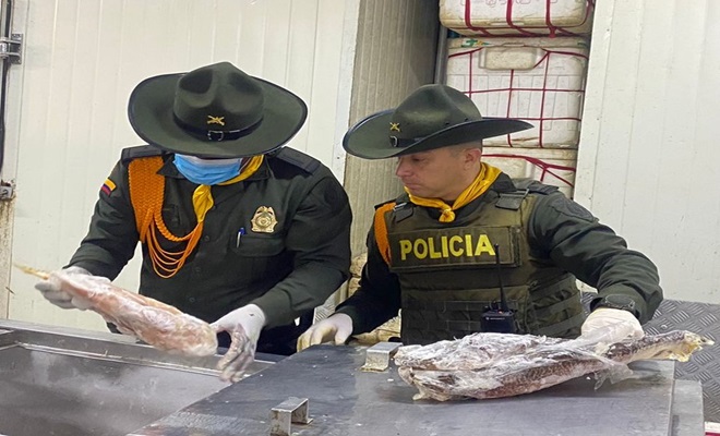 La Seccional de Carabineros y Protección Ambiental, trabaja para garantizar la protección del medio ambiente