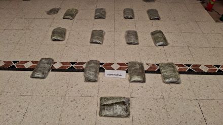 13 bolsas herméticas transparentes