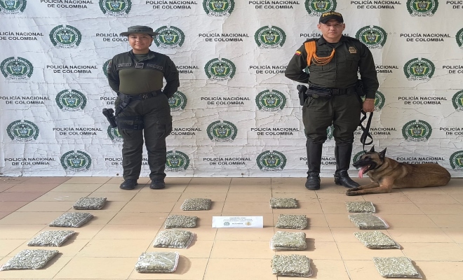 “Killer”, binomio canino de la Policía Nacional que lidera operativos contra el tráfico de estupefacientes en Cartagena