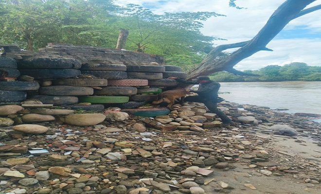 Policía Nacional incauta 460 dosis de marihuana en Neiva