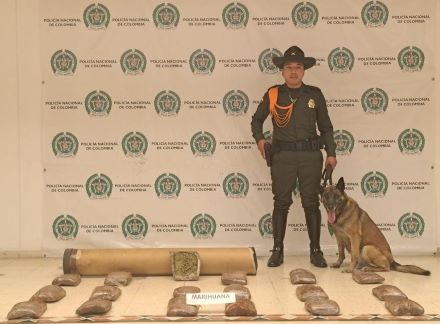 incautación de 9.050 gramos de sustancia ilícita