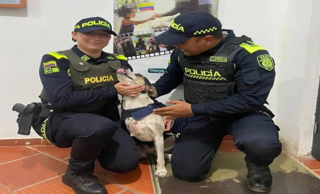 Los pasillos de las estaciones se vuelven entonces escenario de un realismo casi mágico 